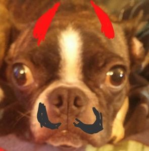 Meet your Posher, Patsy